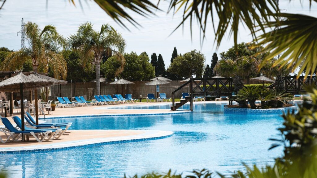 Piscina exterior con hamacas y jardines tropicales del Hotel Bonalba Alicante